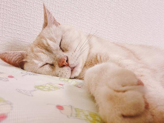 すみません(；；)