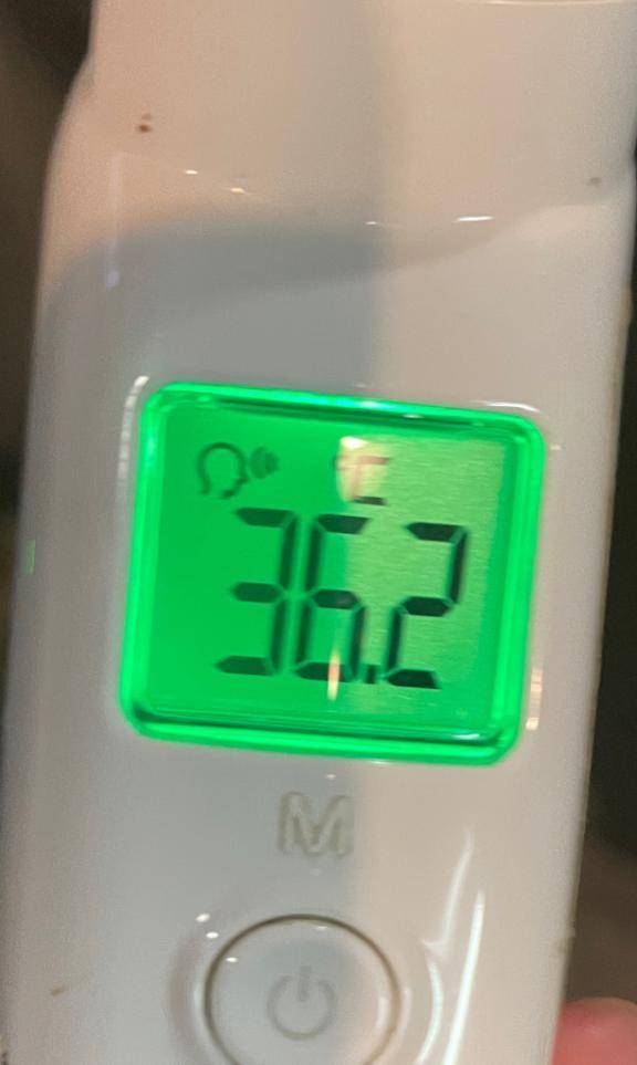 今日の体温...｡