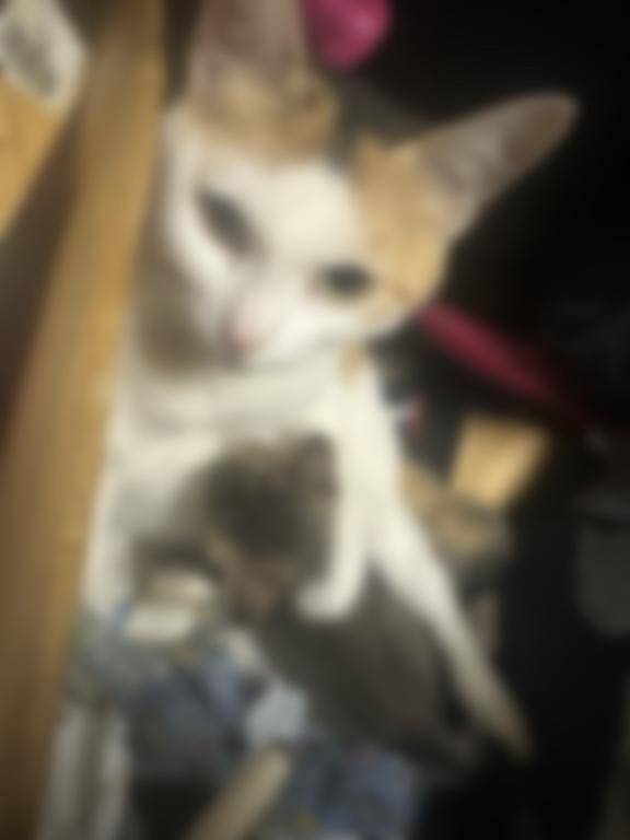 🧏‍♀️staff~お題🧏‍♀️