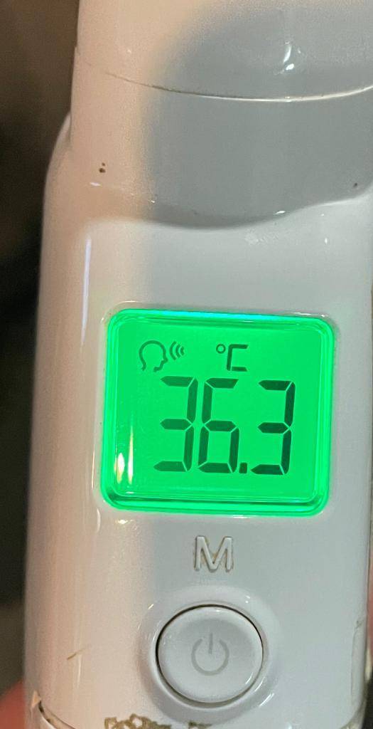 今日の体温...｡