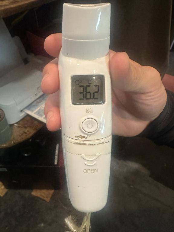 出勤しました🦔𓂃 ⸒⸒ ⸒⸒