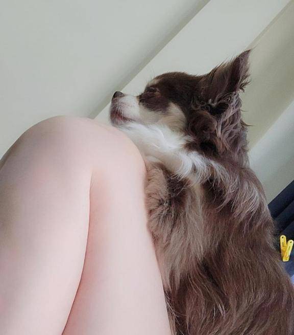 ☆今日のお題③☆