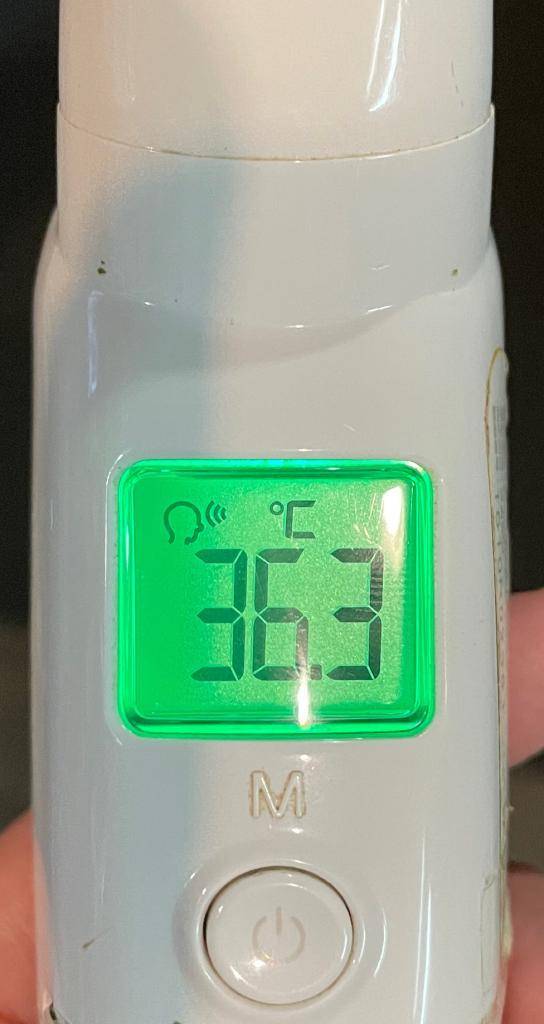 今日の体温...｡