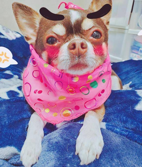 ☆今日のお題①☆