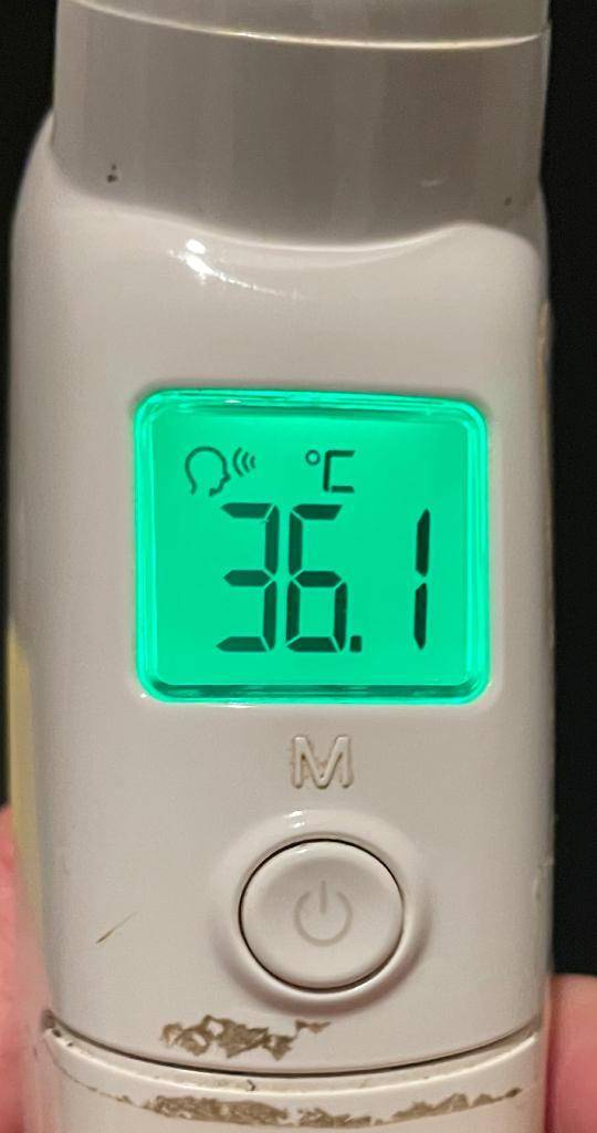 今日の体温...｡