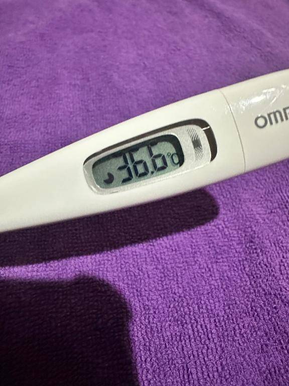 今日の体温❣️