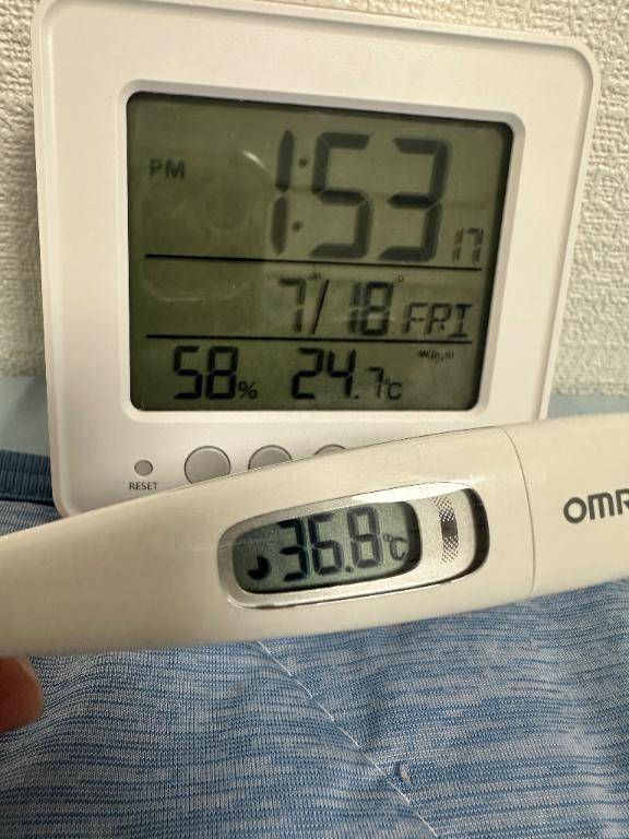 今日の体温❣️