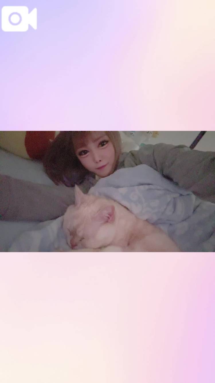 (猫おまけ付き)賢いﾈｺﾁｬﾝの作り方