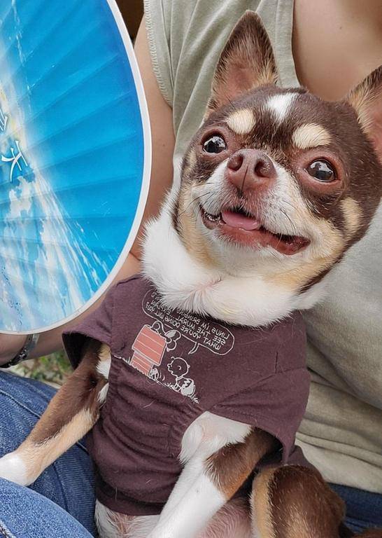 ☆今日のお題③☆