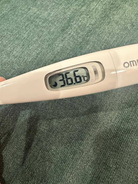 今日の体温❣️