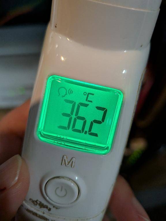 朝からいてます