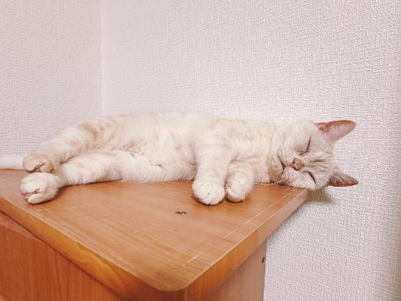 🙇‍♀️🙇‍♀️🙇‍♀️