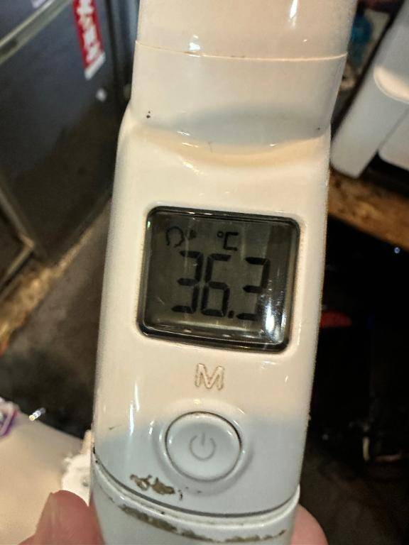 今日の体温❣️