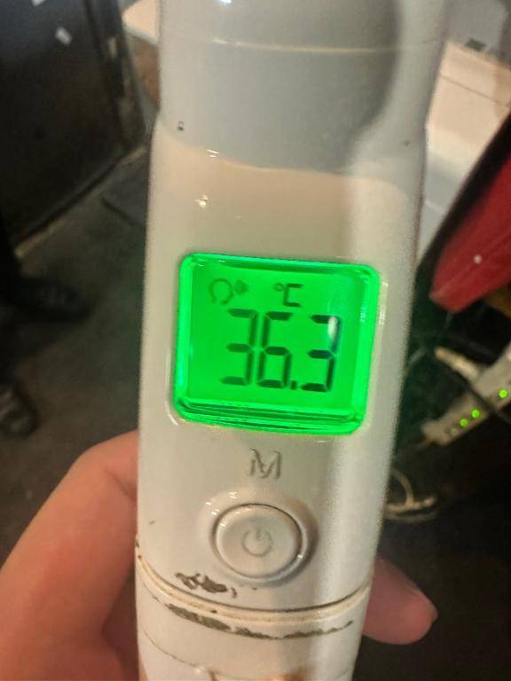 今日の体温❣️