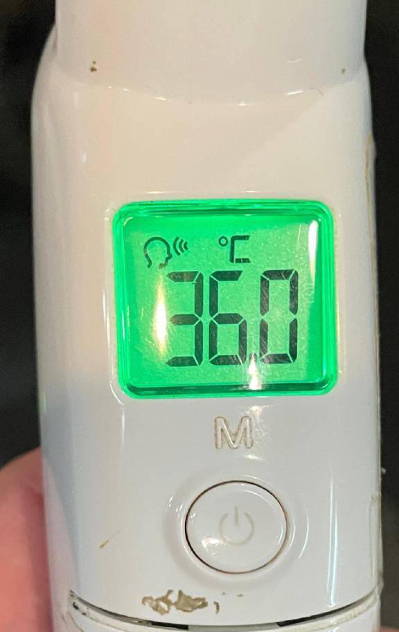 今日の体温...｡