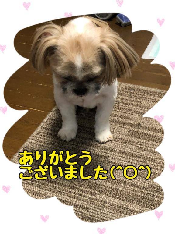 7月もありがとう(*´3｀*)ゞ