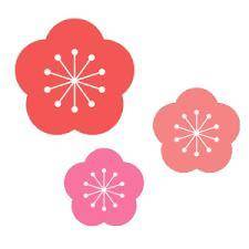 花火の日！ 【ここの花火、キレイだ！】と思う場所、教えて下さい！