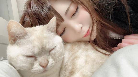 はたらく細胞 猫🐱