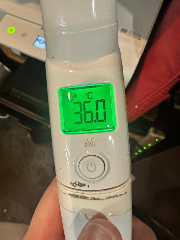 今日の体温❣️