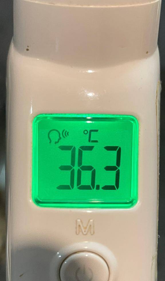 今日の体温...｡