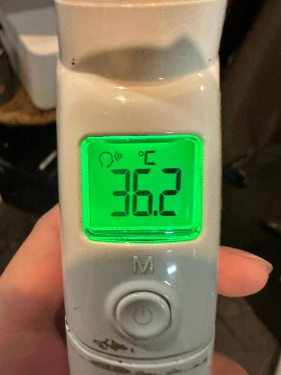 今日の体温❣️