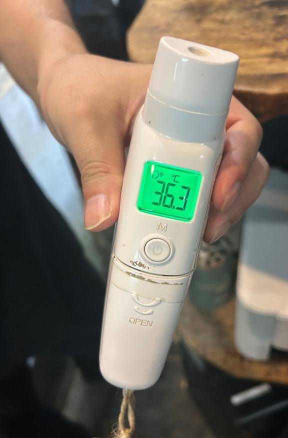 出勤しました🐰