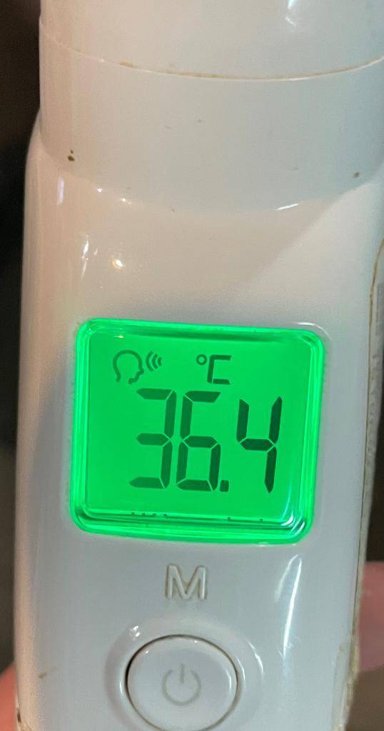 今日の体温...｡