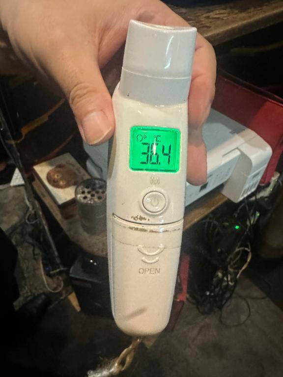 出勤しました(*^^*)