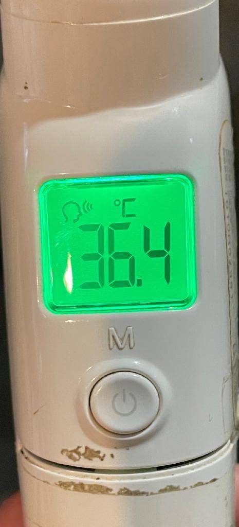 今日の体温...｡