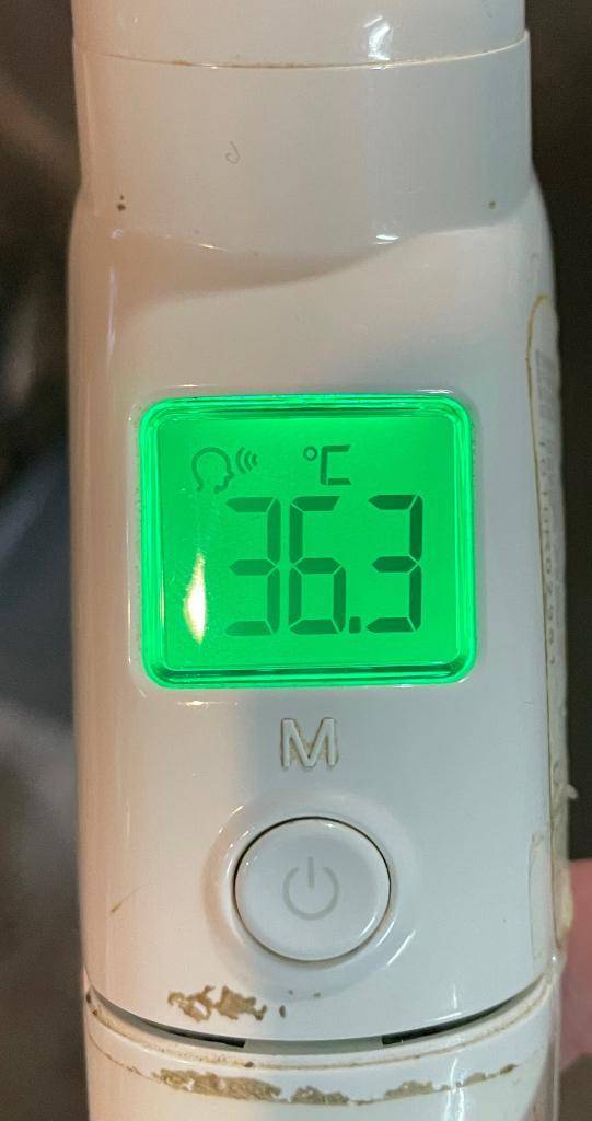 今日の体温...｡