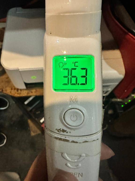 今日の体温❣️