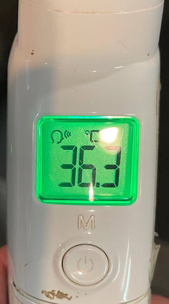 今日の体温...｡