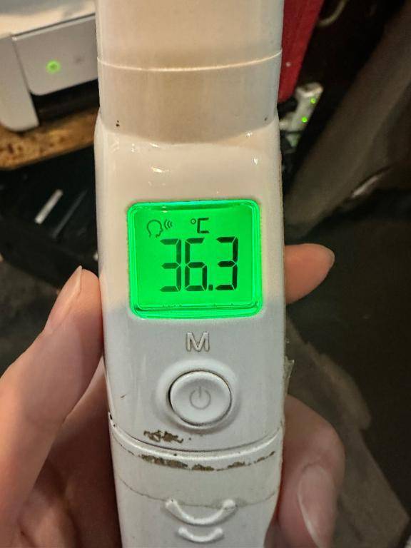 今日の体温❣️