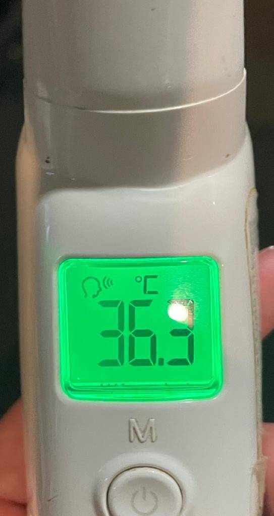 今日の体温...｡