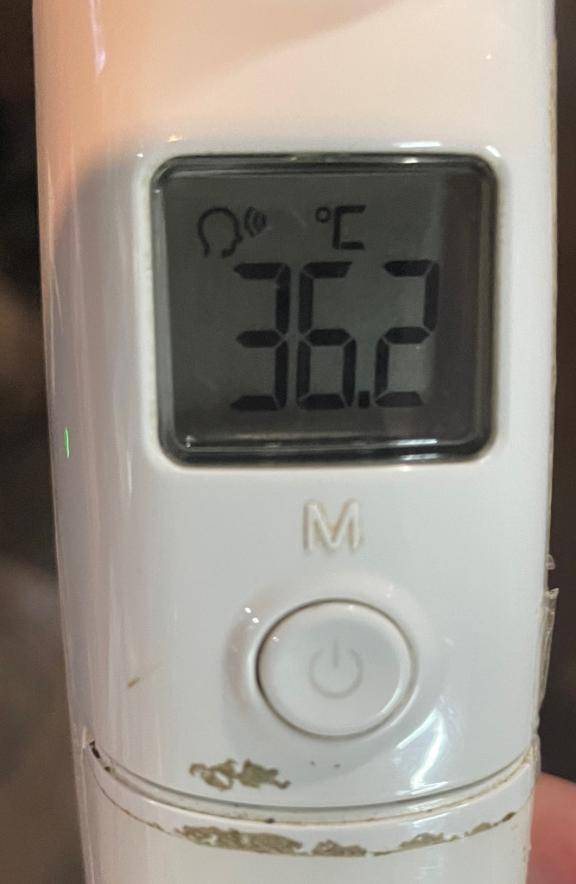 今日の体温...｡