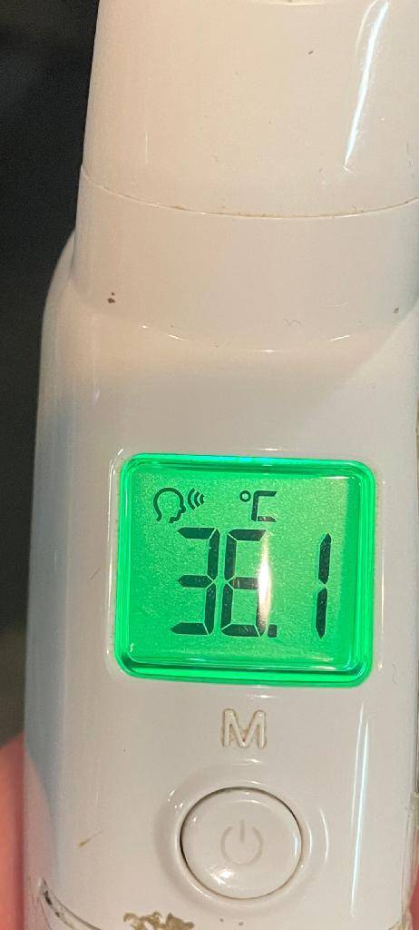 今日の体温...｡