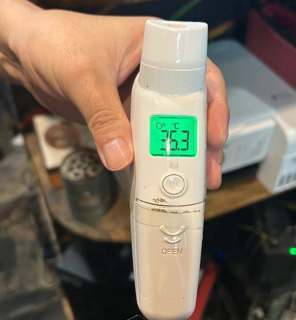 出勤しました🐰