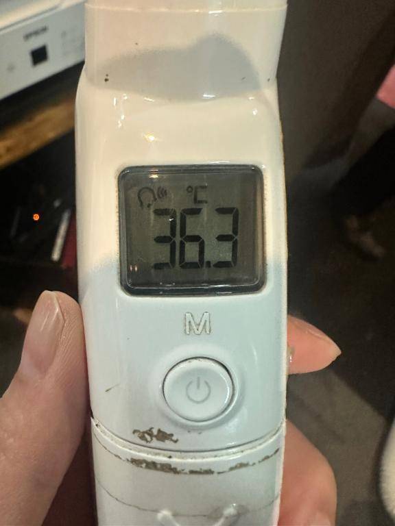今日の体温❣️