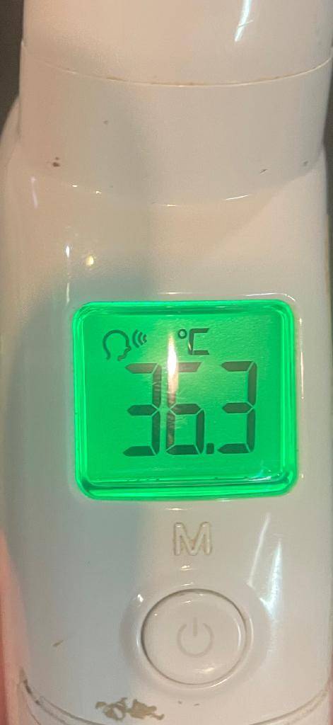 今日の体温...｡