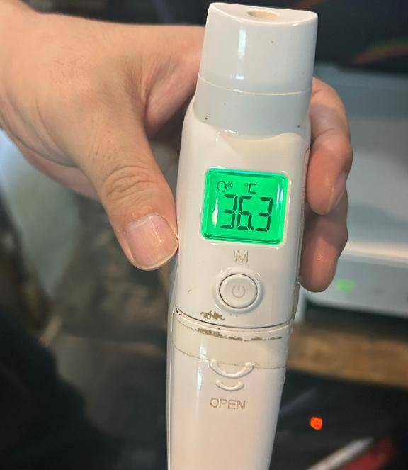 出勤しました🐰