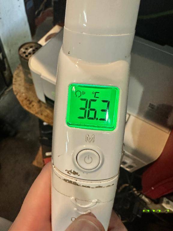 本日の体温❣️