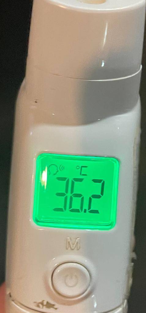 今日の体温...｡