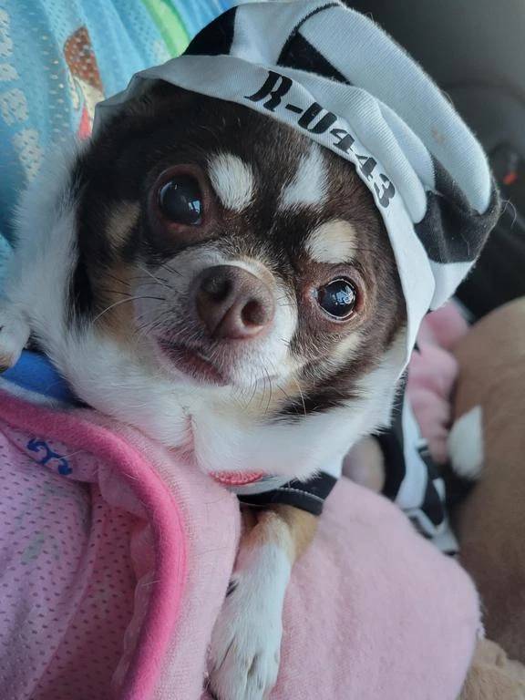 みゆき【おもてなし１２０％美女】