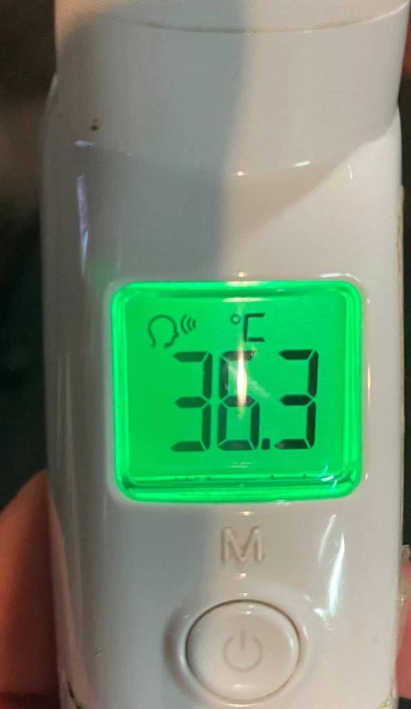 今日の体温...｡