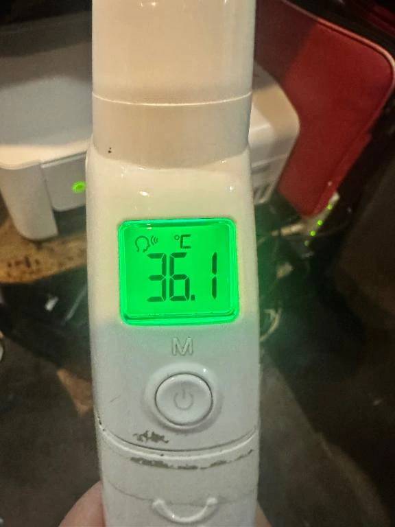 本日の体温❣️