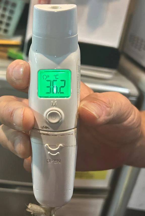 出勤しました🐰