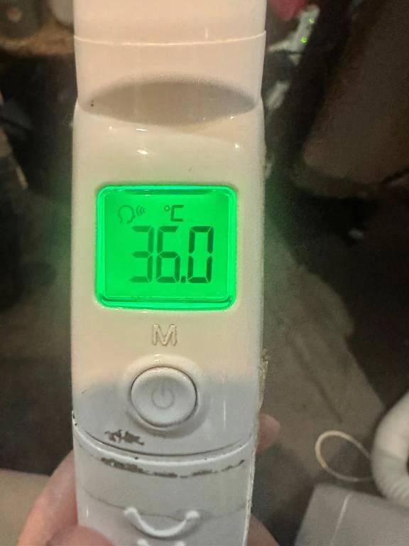 本日の体温❣️