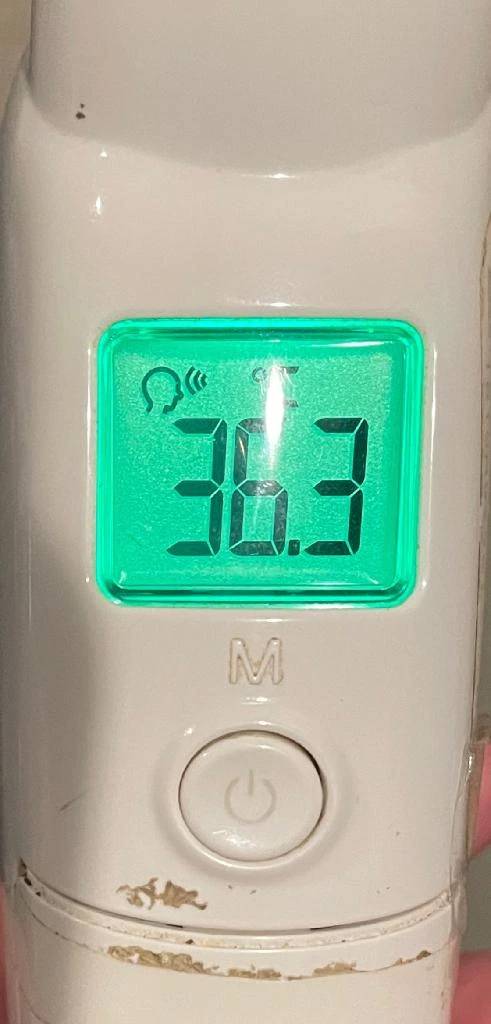 今日の体温...｡