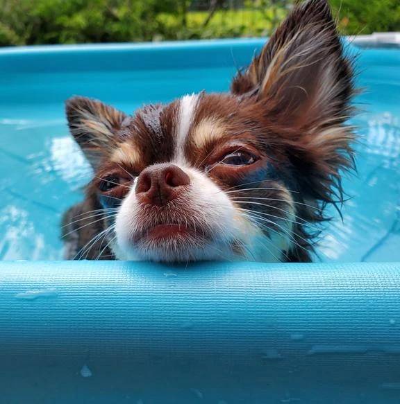 ☆今日のお題③☆