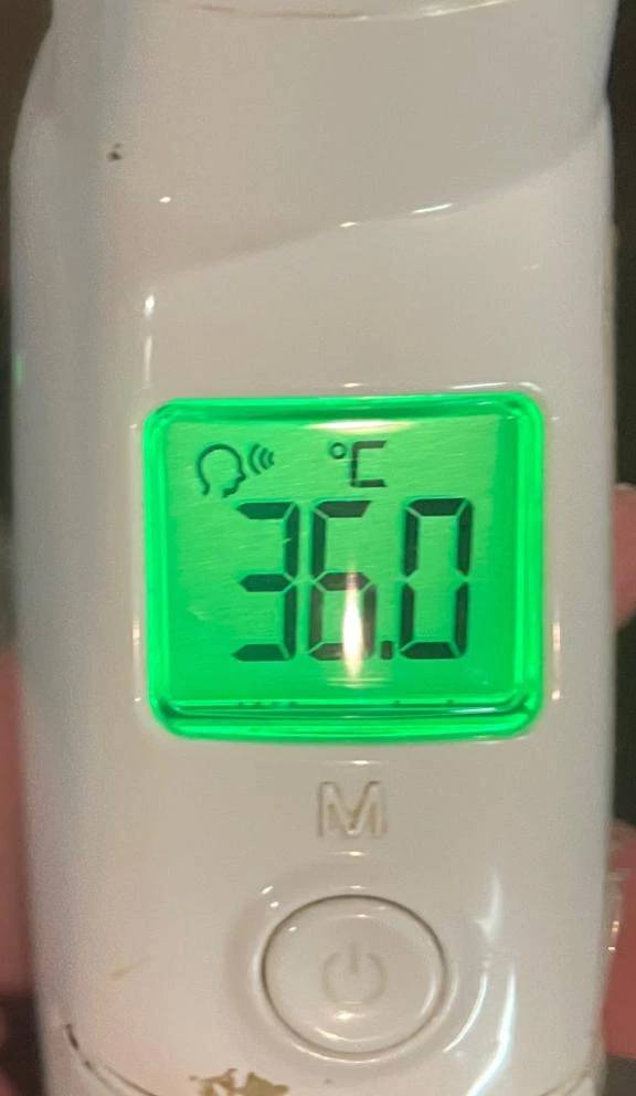 今日の体温...｡